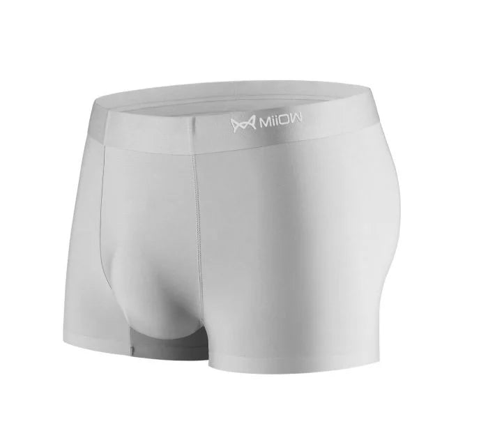 Breathable Ice Silk Men's Underwear (Pack of 7)